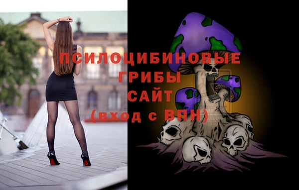 PSILOCYBIN Белоозёрский