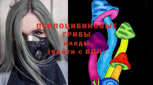 PSILOCYBIN Белоозёрский