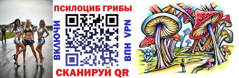 Псилоцибиновые грибы Magic Shrooms  Купить закладки  Дудинка 